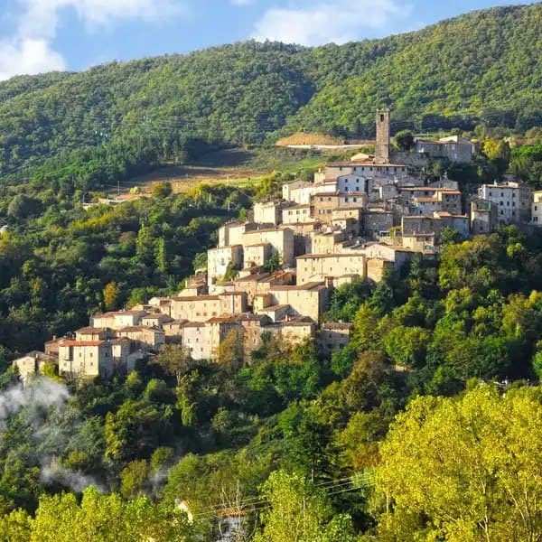 Sagra del Ciambellino
